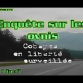 Cobaye en Liberté Surveillée - Enquête sur les OVNIS S01E07