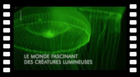 Le monde fascinant des créatures lumineuses - HD 2015