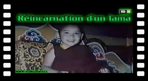 Réincarnation d'un lama (vhs médiocre)