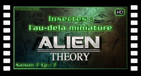 S07E07 Insectes l'au-delà miniature - Alien Theory HD
