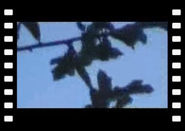 ROGUE Sighting 2003 Ovni ou...