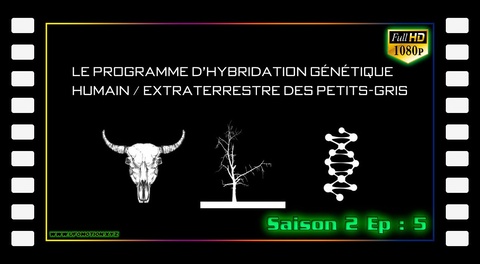 S02E05 Hybrides humains-extraterrestres