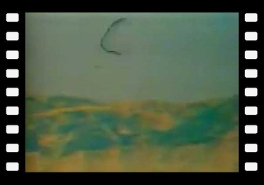 île de Catalina 1966