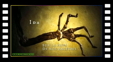Ida, sur la piste de nos ancêtres