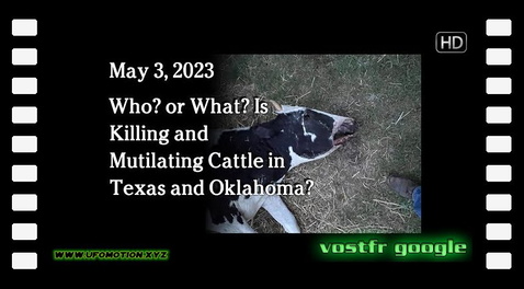 May 3 - Who? or What? Is Killing and Mutilating Cattle in Texas and Oklahoma ? (vostfr google)