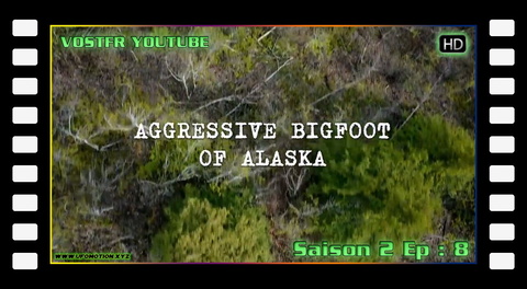 S02E08 Aggressive Bigfoot and Haunted Hotel (vo)