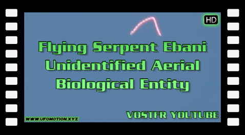 Flying Serpent Ebani - Unidentified Aerial Biological Entity - Ufo Sightings (vostfr youtube)