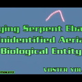 Flying Serpent Ebani - Unidentified Aerial Biological Entity - Ufo Sightings (vostfr youtube)
