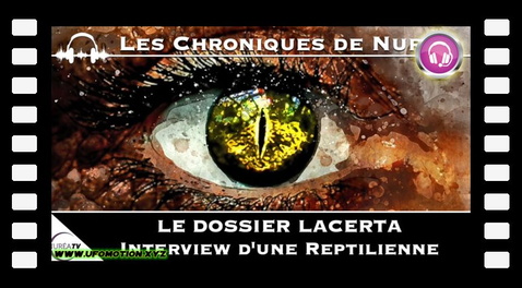 Dossier Lacerta : Interview d'une Reptilienne