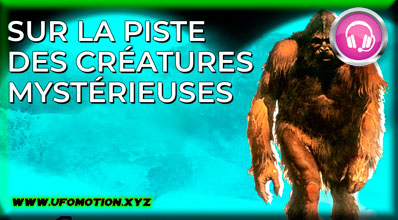 Sur la piste des créatures mystérieuses